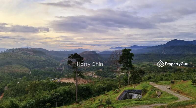 For Sale - Multipurpose Rainforests Agri land(Plantation,camping,weekend Home,Sporting)