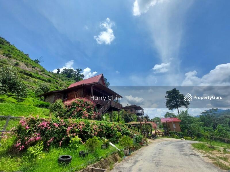 For Sale - Multipurpose Rainforests Agri land(Plantation,camping,weekend Home,Sporting)