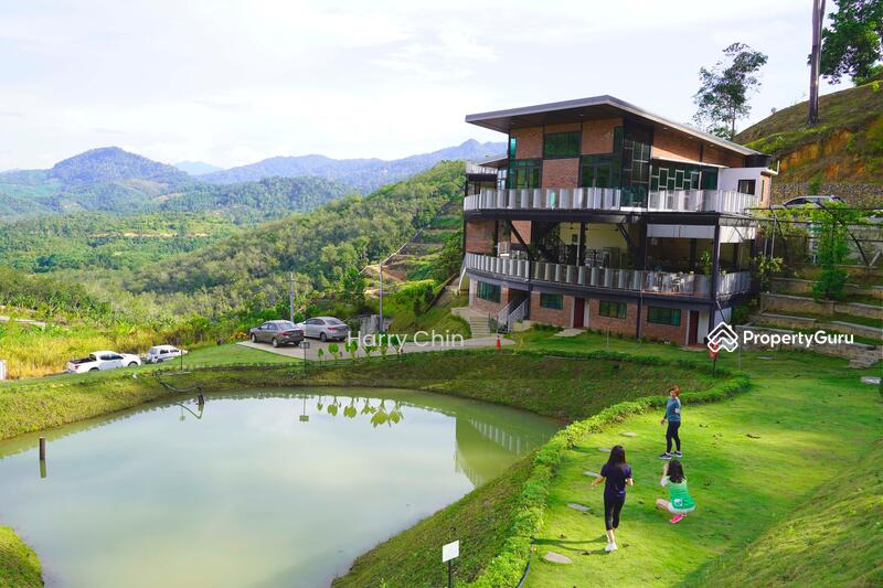 For Sale - Multipurpose Rainforests Agri land(Plantation,camping,weekend Home,Sporting)