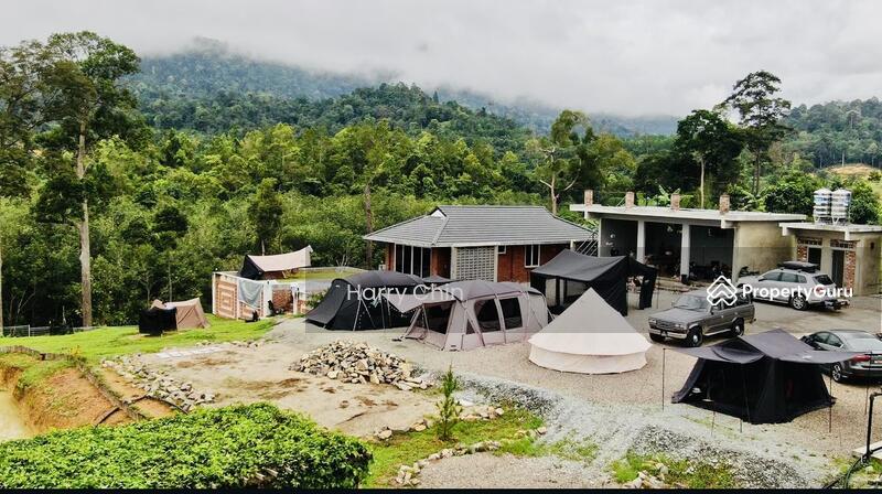 For Sale - Multipurpose Rainforests Agri land(Plantation,camping,weekend Home,Sporting)