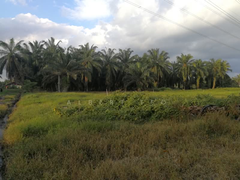 Residential Land for Sale in Batu Pahat (Johor) - Albert TEO - PropertyGuru.com.my