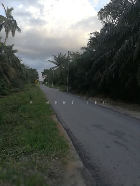 Residential Land for Sale in Batu Pahat (Johor) - Albert TEO - PropertyGuru.com.my
