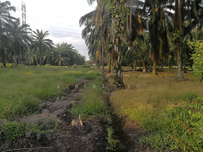 Residential Land for Sale in Batu Pahat (Johor) - Albert TEO - PropertyGuru.com.my