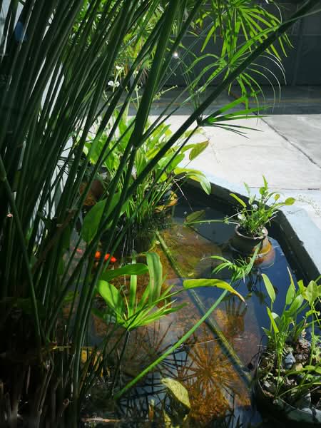 Condominium for Rent at Merak Kayangan Court - Wendy Lian - PropertyGuru.com.my