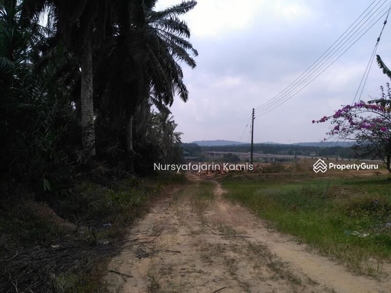 Agricultural Land for Sale in Senai (Kulai) - Syafa Kamis - PropertyGuru.com.my