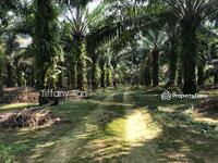 For Sale - Agriculture Land @ Kangkar Pulai For Sale