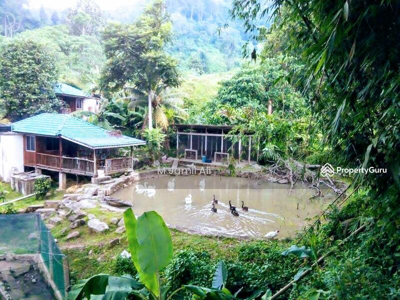 Agricultural Land for Sale in Bentong (Pahang) - M Jamil Ali - PropertyGuru.com.my
