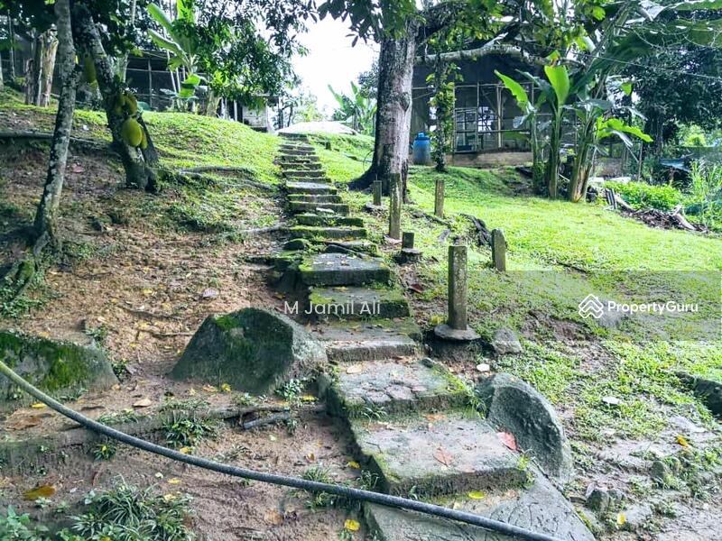 Agricultural Land for Sale in Bentong (Pahang) - M Jamil Ali - PropertyGuru.com.my