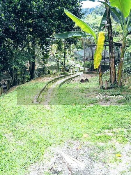 Agricultural Land for Sale in Bentong (Pahang) - M Jamil Ali - PropertyGuru.com.my