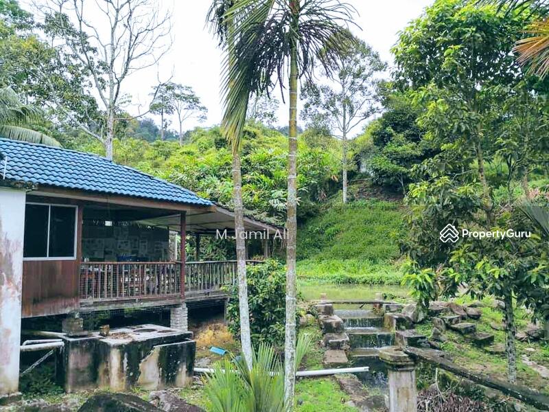 Agricultural Land for Sale in Bentong (Pahang) - M Jamil Ali - PropertyGuru.com.my