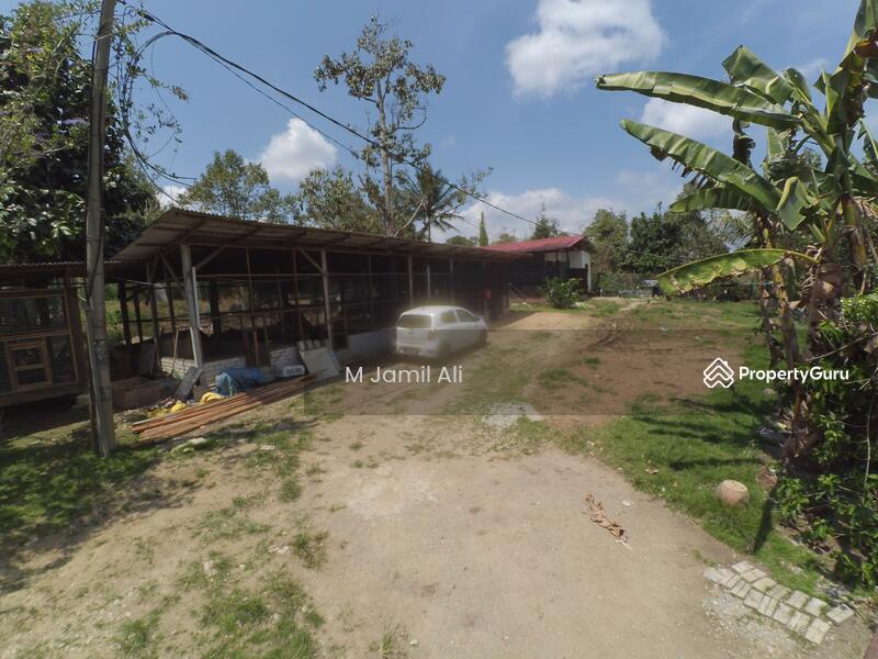Agricultural Land for Sale in Bentong (Pahang) - M Jamil Ali - PropertyGuru.com.my