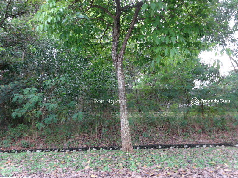 Residential Land for Sale in Putra Heights (Subang Jaya) - Ron Ngiam - PropertyGuru.com.my