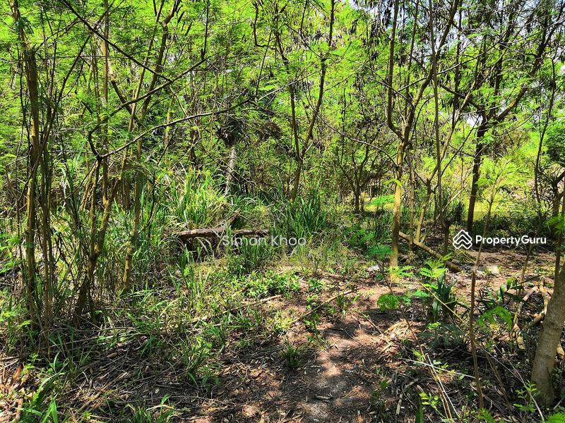 Agricultural Land for Sale in Klang (Selangor) - Simon Khoo - PropertyGuru.com.my