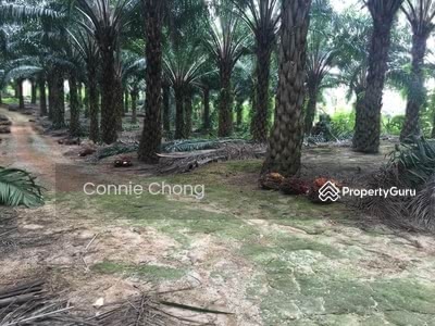 Agricultural Land For Sale In Rantau Seremban Negeri Sembilan Propertyguru Malaysia