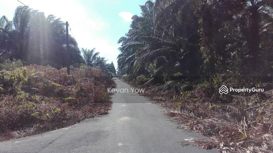 No Longer Available Sungai Tiram 12 Arces Ulu Tiram Ulu Tiram Johor Bahru Johor Agricultural Lands For Sale By Kevan Yow 29658905