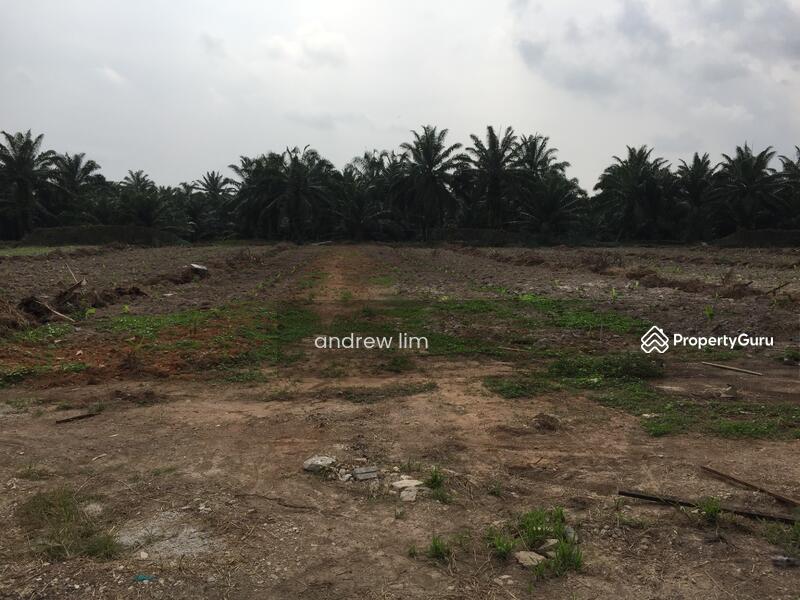 Untuk Dijual - Beranang, Selangor