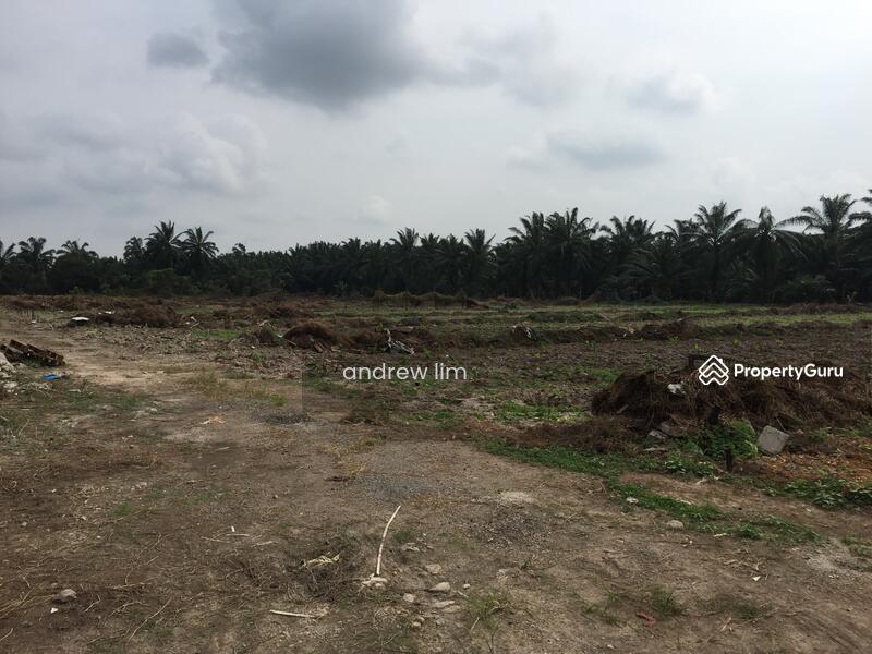 Untuk Dijual - Beranang, Selangor