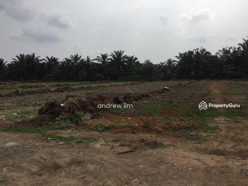 Untuk Dijual - Beranang, Selangor