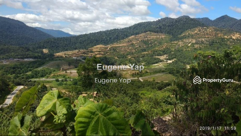 Agricultural Land for Sale in Karak (Pahang) - Eugene Yap - PropertyGuru.com.my