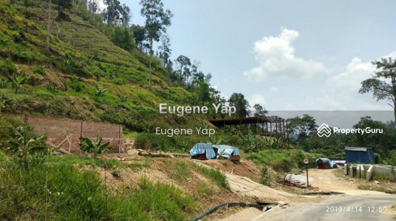 Agricultural Land for Sale in Karak (Pahang) - Eugene Yap - PropertyGuru.com.my