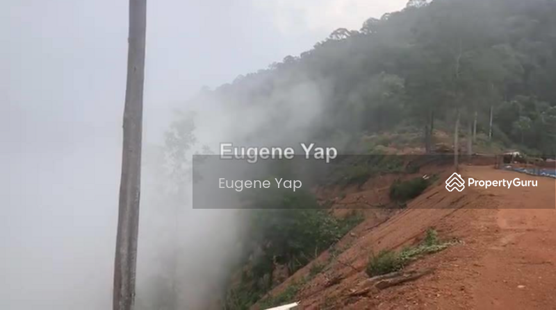 Agricultural Land for Sale in Karak (Pahang) - Eugene Yap - PropertyGuru.com.my