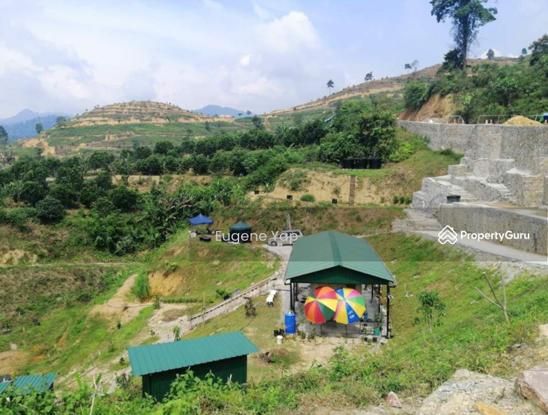 Agricultural Land for Sale in Karak (Pahang) - Eugene Yap - PropertyGuru.com.my