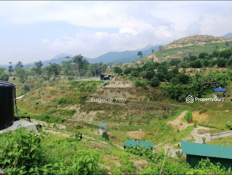 Agricultural Land for Sale in Karak (Pahang) - Eugene Yap - PropertyGuru.com.my