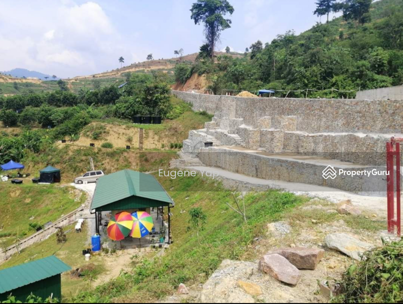 Agricultural Land for Sale in Karak (Pahang) - Eugene Yap - PropertyGuru.com.my