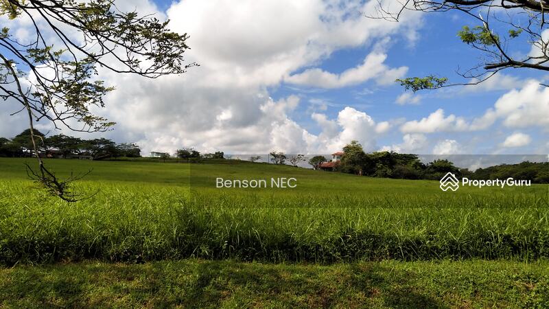 Untuk Dijual - LEISURE FARM