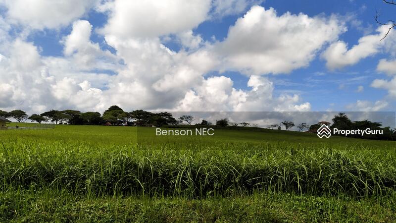 Untuk Dijual - LEISURE FARM