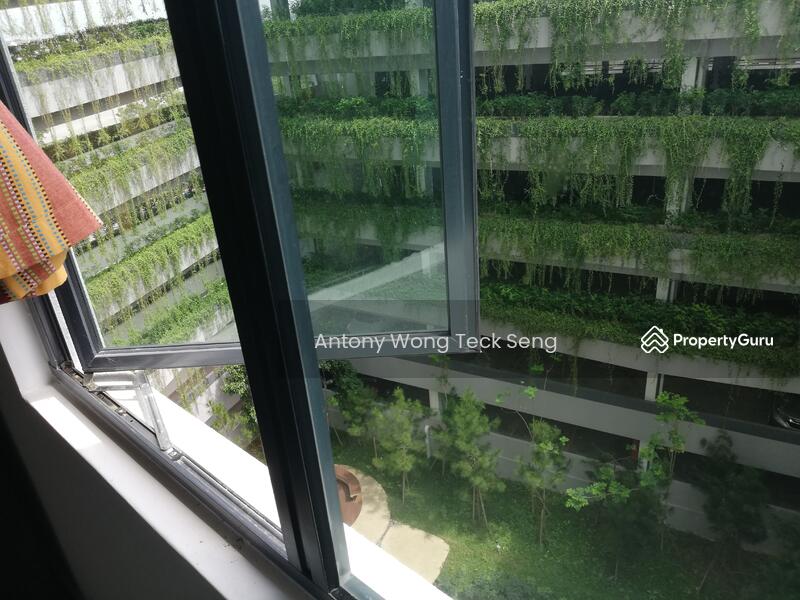Kondominium untuk Disewa di Sutera Pines - Antony Wong Teck Seng - PropertyGuru.com.my