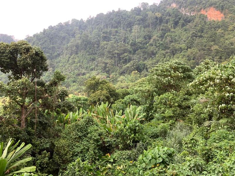 Surrounded By Nature