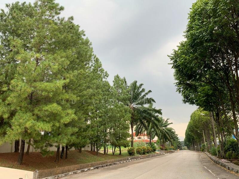 Road Going Into Condominium