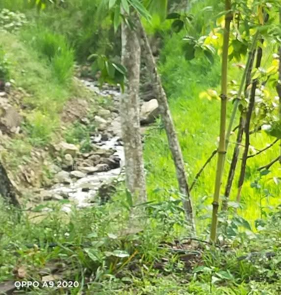 Residential Land for Sale in Genting Highlands (Bentong) - Shirley Sai - PropertyGuru.com.my