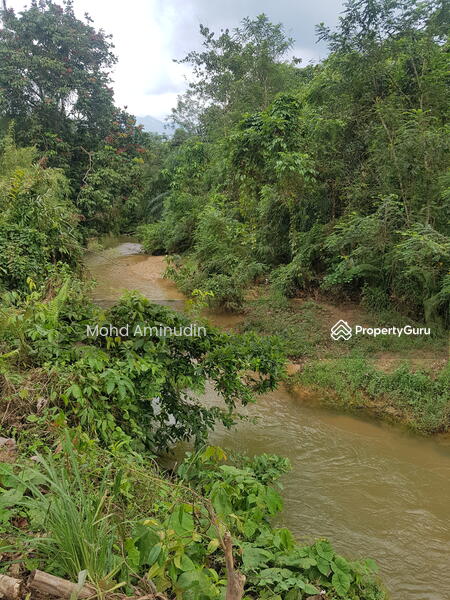 Tidak Lagi Tersedia Tanah Durian Tepi Sungai Sesuai Untuk Riadah Atau Homestay Untuk Dijual Sungai Dara Behrang Stesen Tanjung Malim Perak Tanah Pertanian Dari Harga Rm 260 000 Propertyguru Malaysia