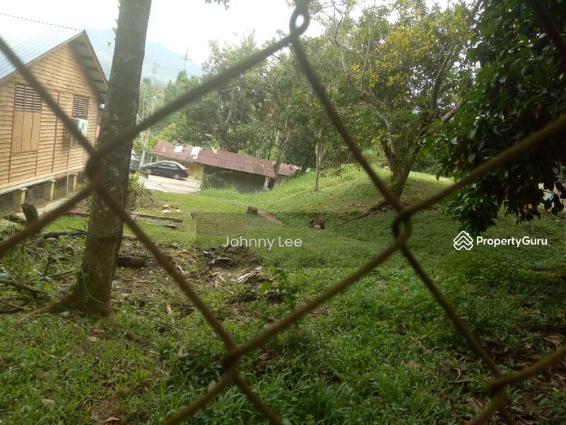 View out from the land