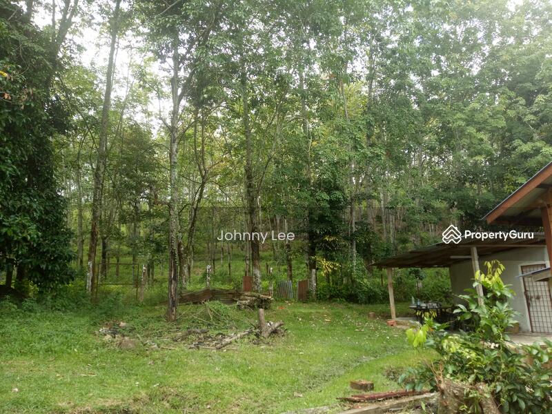 The land