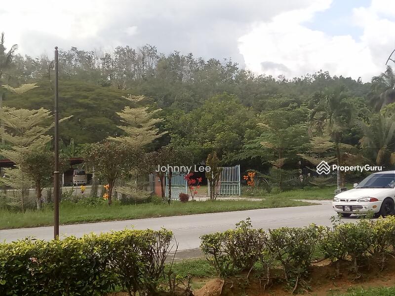 View from mini stadium with rubber trees backgroynd