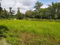 For Rent - Taman Andalas Mantin