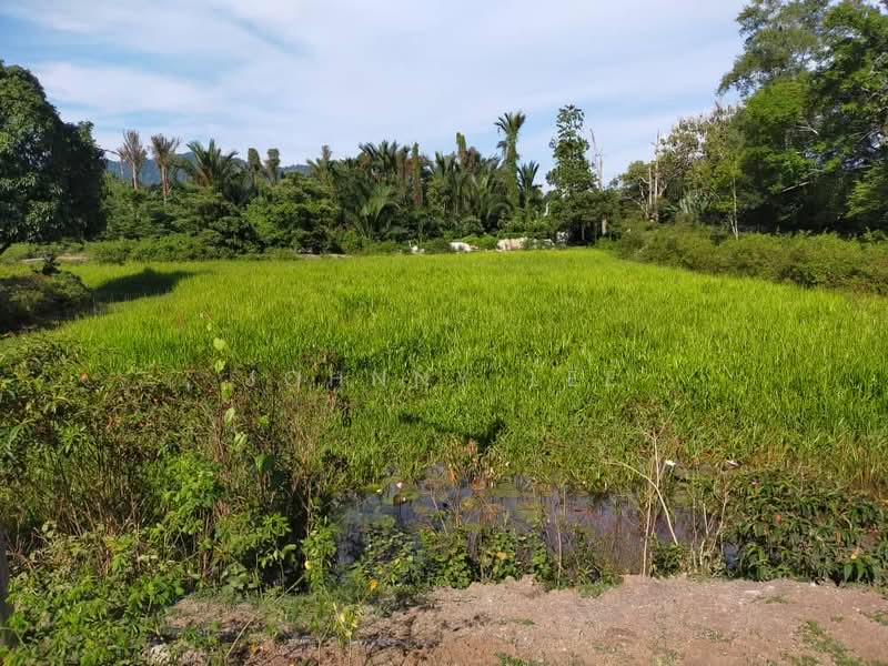 Tanah Pertanian untuk Disewa di Kampung Mantin Dalam (Mantin) - Johnny Lee - PropertyGuru.com.my