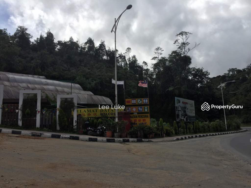 Land for sale Cameron Highlands, Tringkap, Cameron highlands, Cameron