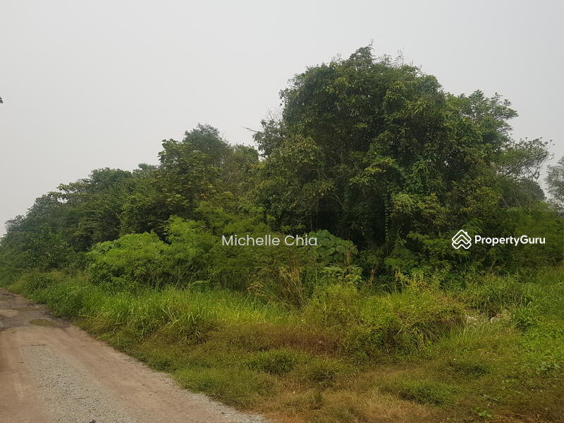 Negeri Sembilan Jempol Kampung Jawa Serting Tengah Bandar Seri Jempol Jempol Negeri Sembilan Industry Properties For Sale By Michelle Chia Rm 3 900 000 30544559