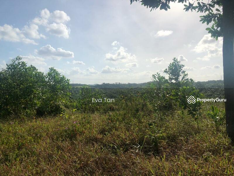 For Sale - Ulu Tiram Zoning Industrial Land
