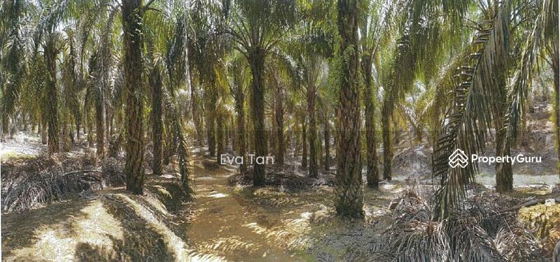 For Sale - Ulu Tiram Zoning Industrial Land