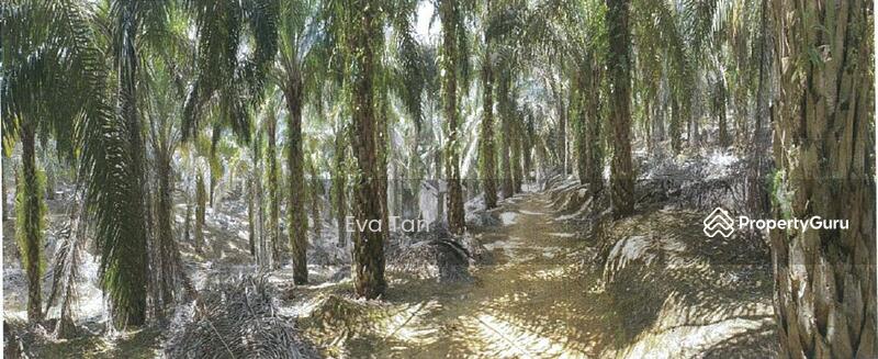 For Sale - Ulu Tiram Zoning Industrial Land