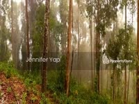 For Sale - Tanarimba, Janda Baik