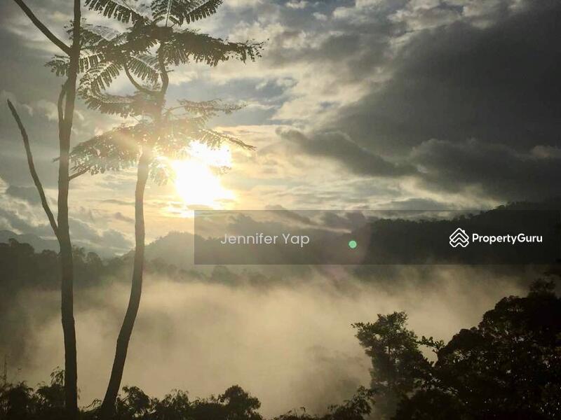 The breeze at dawn - beginning of a good new day.