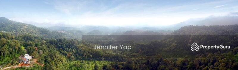 Breathless arial view, making me feel small.