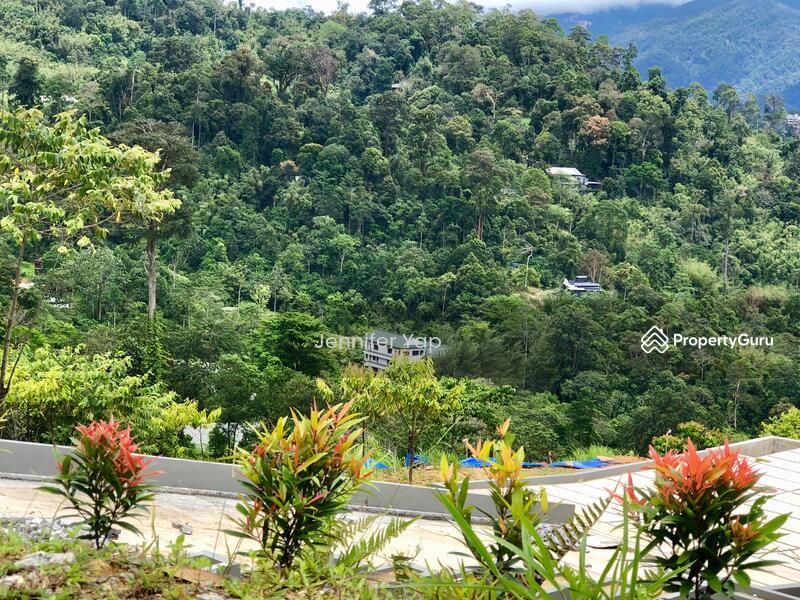 Houses in the forest, a view from high ground.