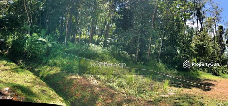 A rare, almost flat plot with lots of trees.